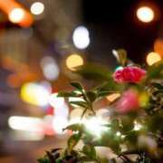 ヒメ日記 2025/07/26 21:22 投稿 さおり 出会い系人妻ネットワーク さいたま～大宮編