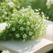 ヒメ日記 2025/07/30 11:42 投稿 さおり 出会い系人妻ネットワーク さいたま～大宮編