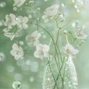 ヒメ日記 2025/07/31 13:22 投稿 さおり 出会い系人妻ネットワーク さいたま～大宮編