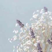 ヒメ日記 2026/02/15 22:52 投稿 さおり 出会い系人妻ネットワーク さいたま～大宮編