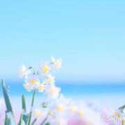 ヒメ日記 2025/07/03 09:44 投稿 さおり 出会い系人妻ネットワーク 春日部〜岩槻編