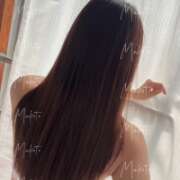 まこと 🤝🏻 姫コレクション 高崎前橋店