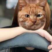 ヒメ日記 2025/07/07 19:29 投稿 純連(すみれ) 高崎回春性感SPA