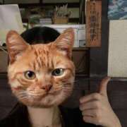 ヒメ日記 2025/08/13 14:59 投稿 純連(すみれ) 高崎回春性感SPA