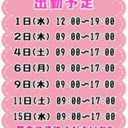 ヒメ日記 2025/09/30 10:13 投稿 みさ 一力茶屋