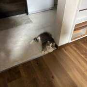 ゆら おはよです^^ non-non 神田(ノンノン神田)