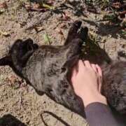 ヒメ日記 2025/07/30 20:21 投稿 みあ Beppin house