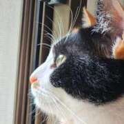 ヒメ日記 2025/08/30 13:20 投稿 みあ Beppin house