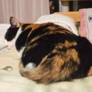 ヒメ日記 2025/10/08 15:20 投稿 みあ Beppin house