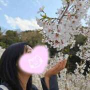 ヒメ日記 2025/10/09 19:09 投稿 みあ Beppin house