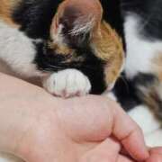 ヒメ日記 2025/10/25 11:47 投稿 みあ Beppin house