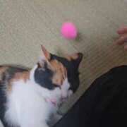 ヒメ日記 2025/10/28 14:30 投稿 みあ Beppin house