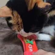 ヒメ日記 2025/10/29 12:21 投稿 みあ Beppin house