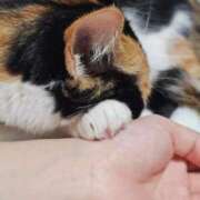 ヒメ日記 2026/02/28 11:25 投稿 みあ Beppin house