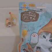 ヒメ日記 2026/04/28 23:20 投稿 みあ Beppin house