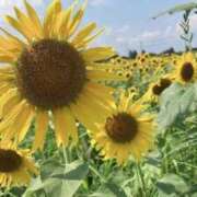 ヒメ日記 2025/08/18 19:13 投稿 しずかツー Three＆Men’s Spa 諏訪