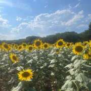 ヒメ日記 2025/08/17 18:53 投稿 りほ★愛欲を求める純朴保育士★ Bell～S級美女お姉様・人妻デリヘル～