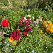 りほ★愛欲を求める純朴保育士★ 明日から🌸 Bell～S級美女お姉様・人妻デリヘル～