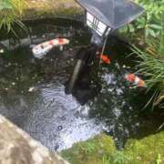 ヒメ日記 2025/09/03 21:24 投稿 花咲　まりん しこたま奥様　熊本店