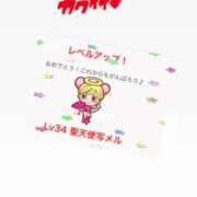 ヒメ日記 2025/09/17 21:04 投稿 花咲　まりん しこたま奥様　熊本店