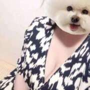 ヒメ日記 2025/10/12 09:44 投稿 花咲　まりん しこたま奥様　熊本店