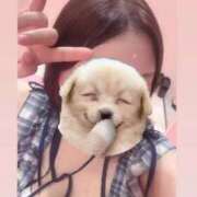 ヒメ日記 2025/11/10 18:04 投稿 花咲　まりん しこたま奥様　熊本店