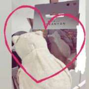 ヒメ日記 2026/02/05 22:04 投稿 花咲　まりん しこたま奥様　熊本店