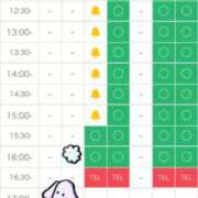 ヒメ日記 2026/02/28 08:55 投稿 花咲　まりん しこたま奥様　熊本店