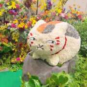 ヒメ日記 2026/08/06 10:04 投稿 花咲　まりん しこたま奥様　熊本店（アクセスグループ）