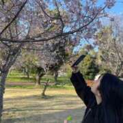 ヒメ日記 2025/11/23 21:15 投稿 かんな いきなりラブ彼女