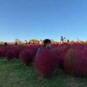 かんな ロマンス♡♡ いきなりラブ彼女