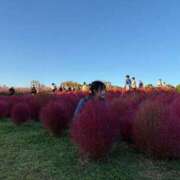 ヒメ日記 2025/12/19 21:09 投稿 かんな いきなりラブ彼女