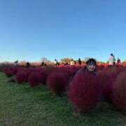 かんな 5日間ありがとうございます⸜🌷︎⸝‍ いきなりラブ彼女