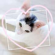 ヒメ日記 2025/09/27 17:20 投稿 めぐみ 甘熟クラブ