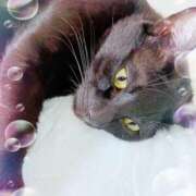 ヒメ日記 2025/10/09 08:09 投稿 めぐみ 甘熟クラブ