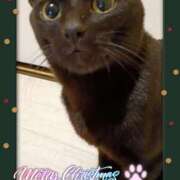 ヒメ日記 2025/12/25 19:49 投稿 めぐみ 甘熟クラブ