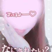 ヒメ日記 2026/02/20 21:13 投稿 めぐみ 甘熟クラブ