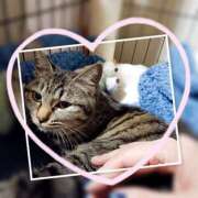 ヒメ日記 2026/03/03 22:34 投稿 めぐみ 甘熟クラブ