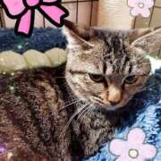 ヒメ日記 2026/03/04 16:53 投稿 めぐみ 甘熟クラブ