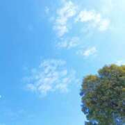 ヒメ日記 2026/03/09 13:17 投稿 めぐみ 甘熟クラブ