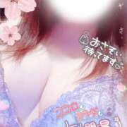 ヒメ日記 2026/04/03 20:12 投稿 めぐみ 甘熟クラブ