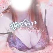 ヒメ日記 2026/04/05 20:09 投稿 めぐみ 甘熟クラブ