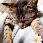 ヒメ日記 2026/04/20 20:56 投稿 めぐみ 甘熟クラブ