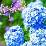 ヒメ日記 2026/06/12 13:49 投稿 めぐみ 甘熟クラブ