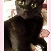 ヒメ日記 2026/10/21 01:09 投稿 めぐみ 甘熟クラブ