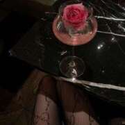 ヒメ日記 2025/07/29 19:16 投稿 しい ミクト東京