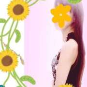 ヒメ日記 2025/07/10 16:09 投稿 ひとみ 松戸人妻 MAD熟女