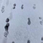 ヒメ日記 2026/02/08 08:47 投稿 みゆ ハンドキャンパス池袋