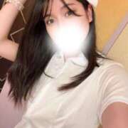 ヒメ日記 2026/05/15 11:30 投稿 せいな ノース -North-