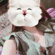 ヒメ日記 2026/01/17 23:50 投稿 りんか（VIP対応） セクシーパラダイス3